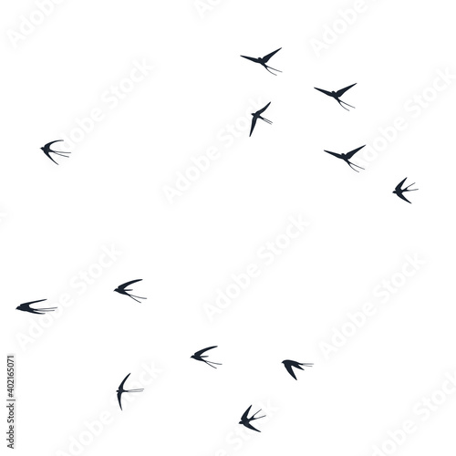 Flying martlet birds silhouettes vector illustration. Nomadic martlets group isolated on white.