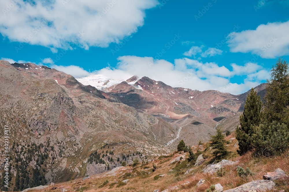 A mountain landscape with firs and conifers in the Italian Alps (Trentino, Italy, Europe)