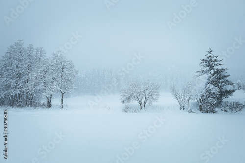 Winter Landschaft  © TomKlar