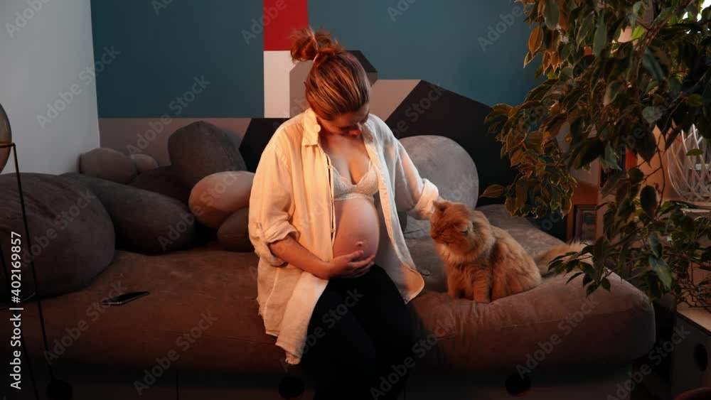 Pregnant woman on third trimester sits on sofa and strokes red cat. Caucasian lady expecting baby relaxes in living room with art interior next to her furred friend. She smiles and caresses her belly. Pregnant woman on third trimester sits on sofa and strokes red cat. Caucasian lady expecting baby relaxes in living room with art interior next to her furred friend. She smiles and caresses her belly.