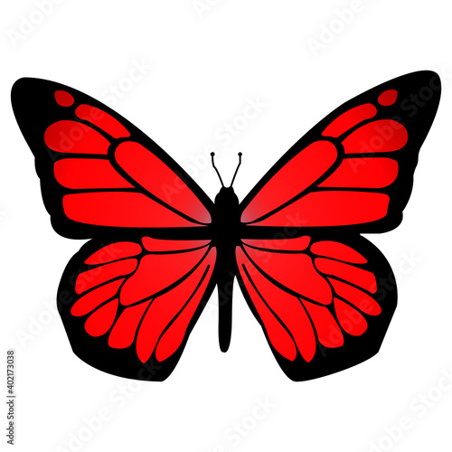Canvas Print red butterfly isolated on white