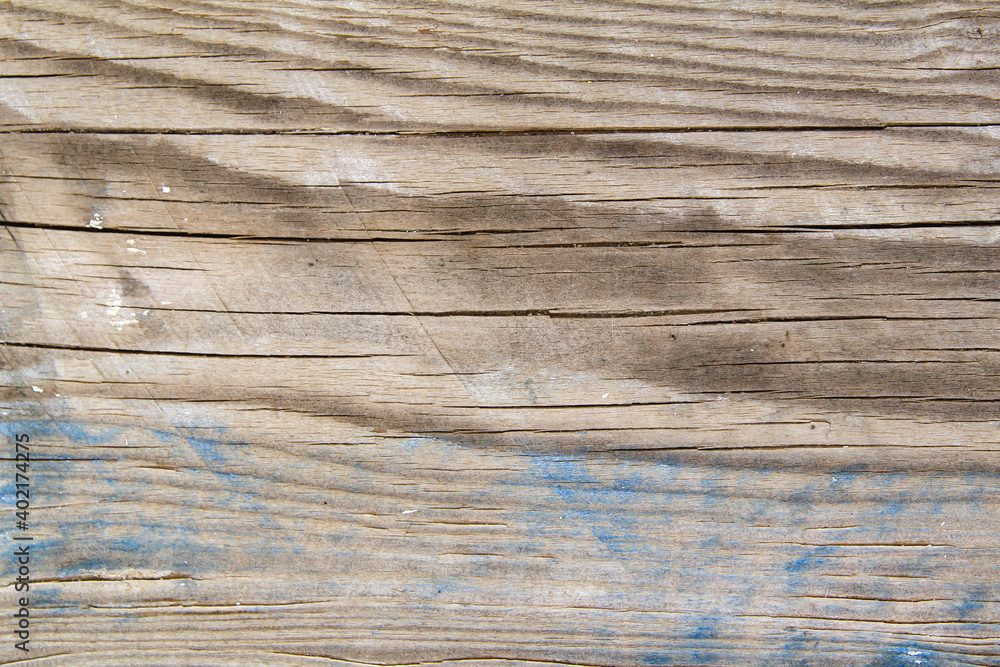 Fototapeta premium Old wood texture