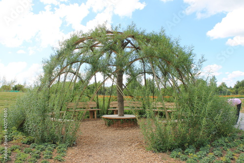 landschaft, natur, himmel, baum, green, handfläche, tropisch, road, beach, baum, park, gras, blau, anreisen, pflanze, wald, garden, bahn, sommer, dschungel, feld, wasser, day, pflanze
