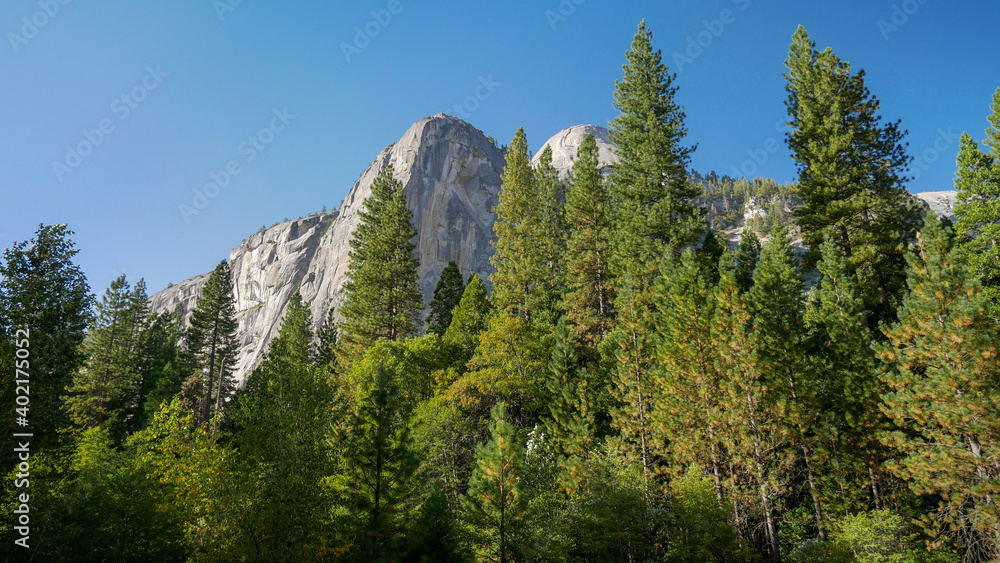 Gipfel im Yosemite Nationalpark mit Bäumen und blauem Himmel
