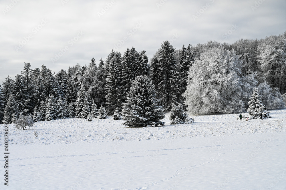 Wonderful winter landscape with snow covered field and forest in the background. Wonderful winter landscape with snow covered field and forest in the background.