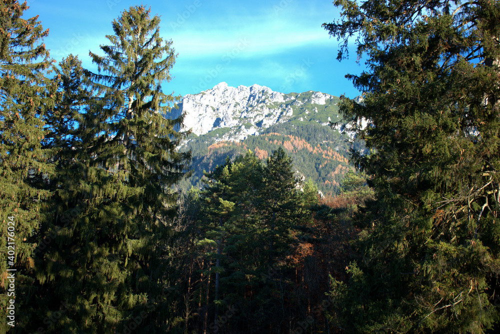 Waldspaziergang in Schaan in Liechtenstein 14.11.2020