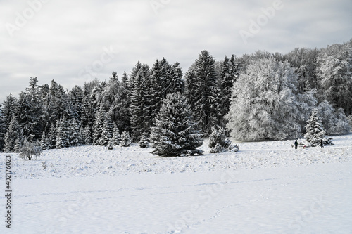 Wonderful winter landscape with snow covered field and forest in the background. © ThePhotoFab