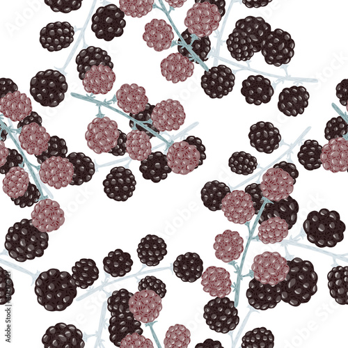 Seamless isolated pattern with doodle blackberries. White background.