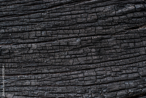 close up of texture black wood  charcoal