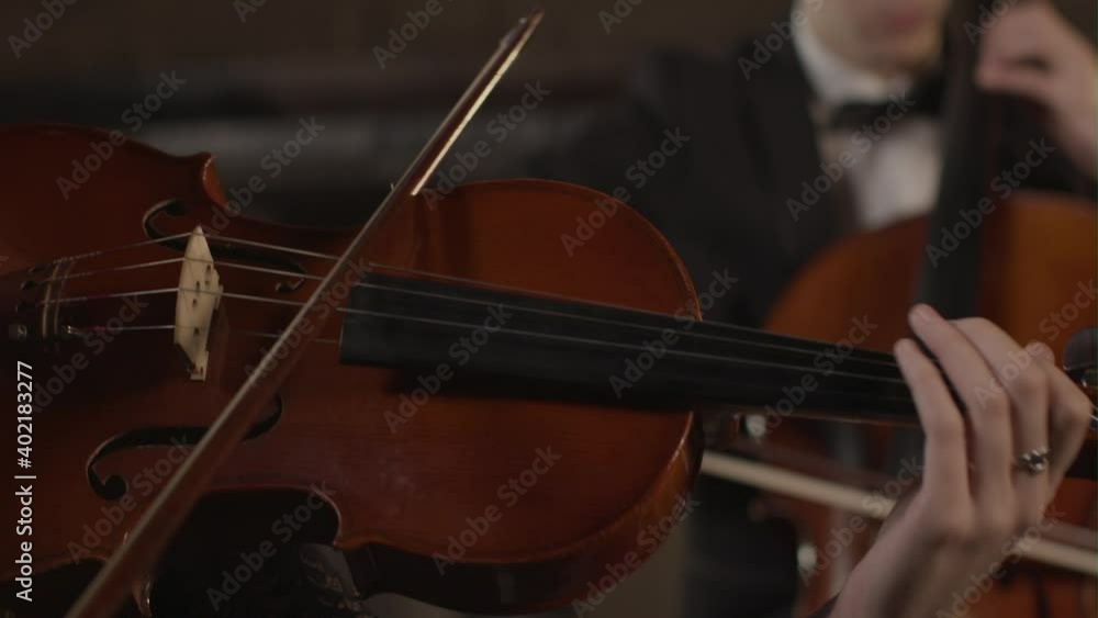 Close Up Female Violinist During Performance Close Up Female Violinist During Performance