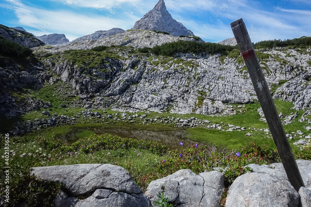 Amazing view on Matterhorn - famous mount in Swiss Alps Amazing view on Matterhorn - famous mount in Swiss Alps