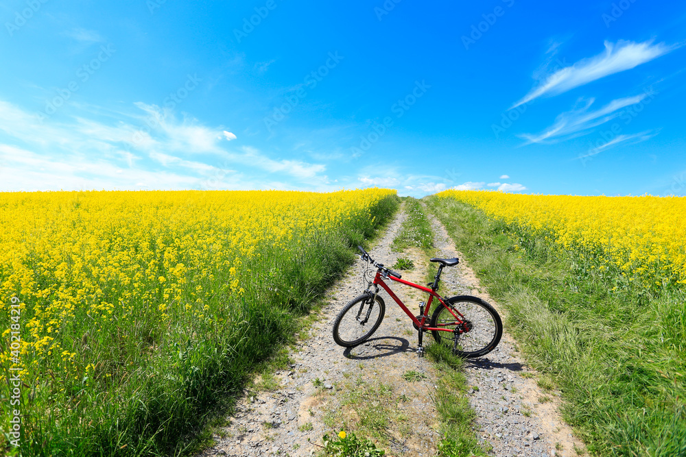 Fototapeta premium Mountainbike