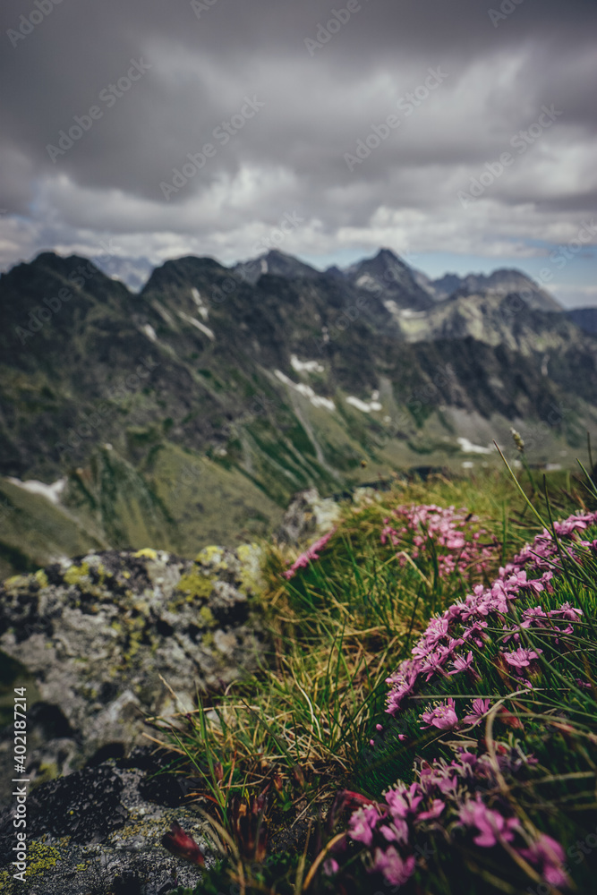 Hiking trails in High Tatras, Slovakia in early summer