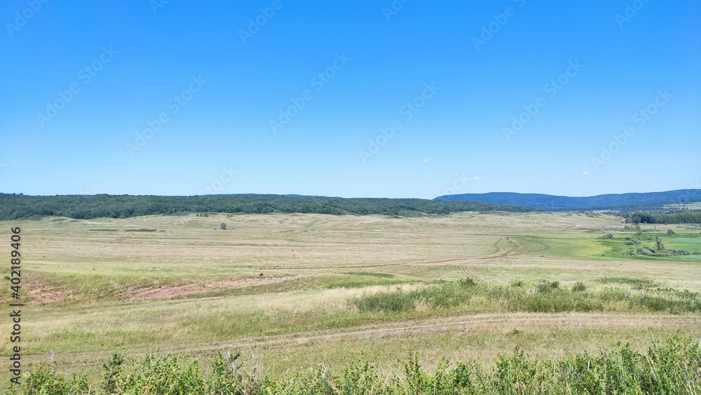 meadow calm summer landscape view on a sunny day