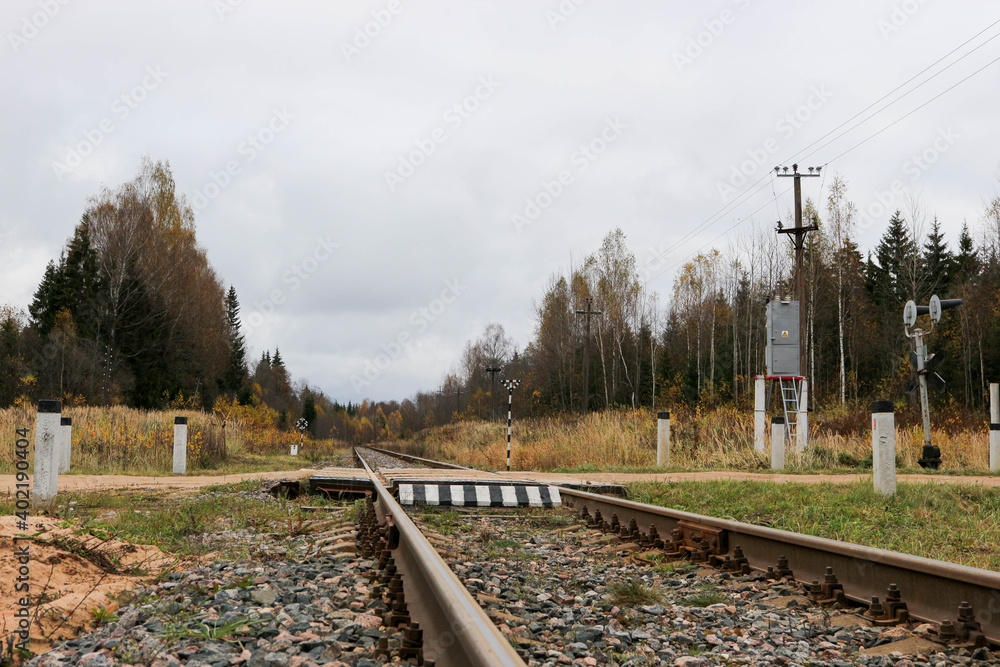 Fototapeta premium railway in the colorful autumn forest in russian outback