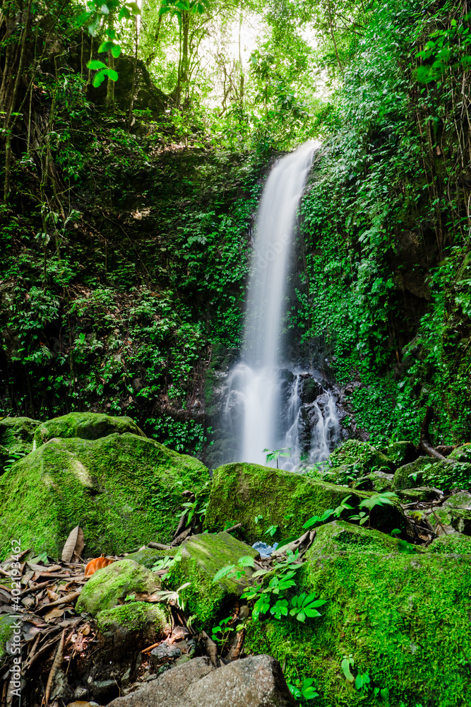 Obraz premium Hidden waterfall in a lush green tropical rainforest in the village of Maninjau, Sumatra, Indonesia. Natural landscape.