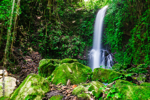 Hidden waterfall in a lush green tropical rainforest in the village of Maninjau  Sumatra  Indonesia. Natural landscape.