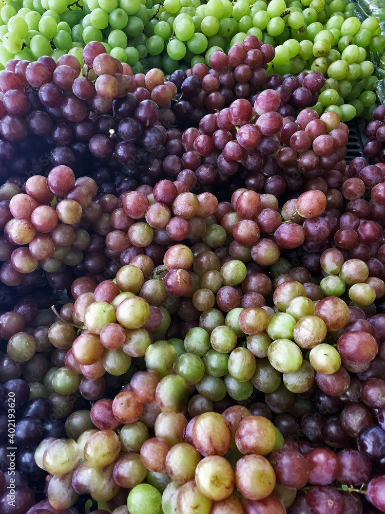 Many purple and green grapes