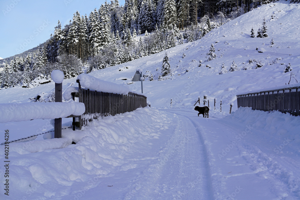 a snowed in wood bridge and mountain road in the snow capped alps a snowed in wood bridge and mountain road in the snow capped alps