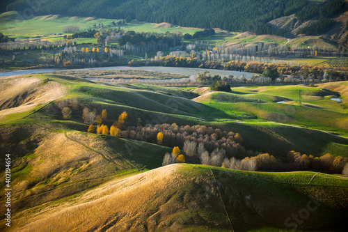 landscape of region country. Te mata peak, New Zealand photo