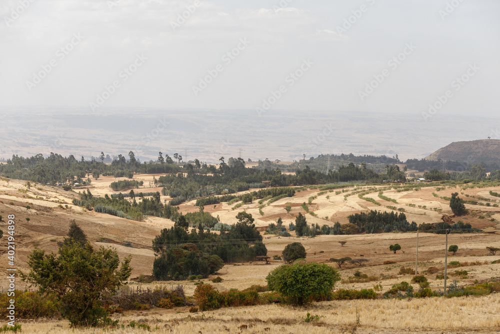 Ethiopia mountain valley landscape with some trees and all yellow-dried grass in dry weather