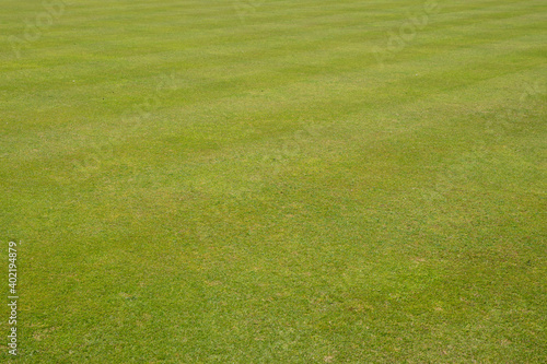 A perfectly cut, luscious green lawn