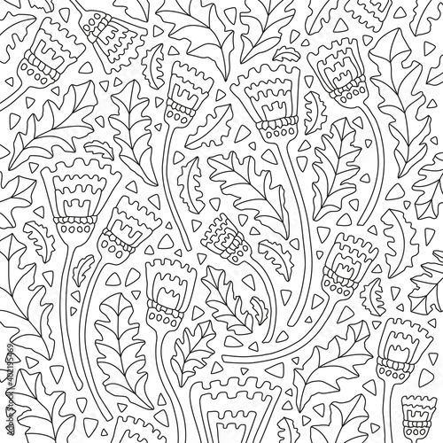 Floral Nature Motive - Coloring Book Vector Illustration In Black and White