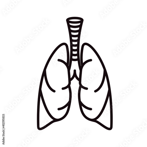 Human Lung icon, lungs vector icon.