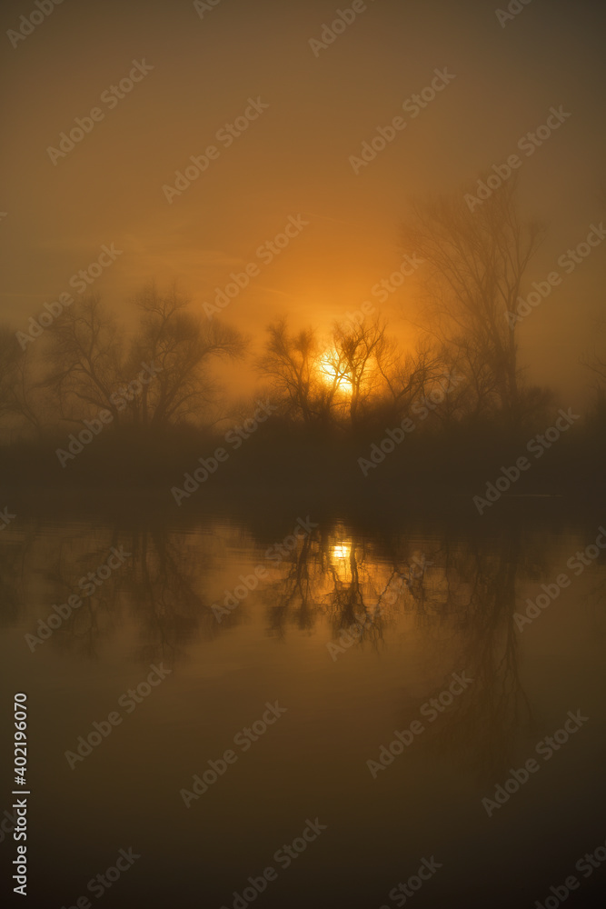 Sonnenaufgang in einer nebligen Auenlandschaft Sonnenaufgang in einer nebligen Auenlandschaft