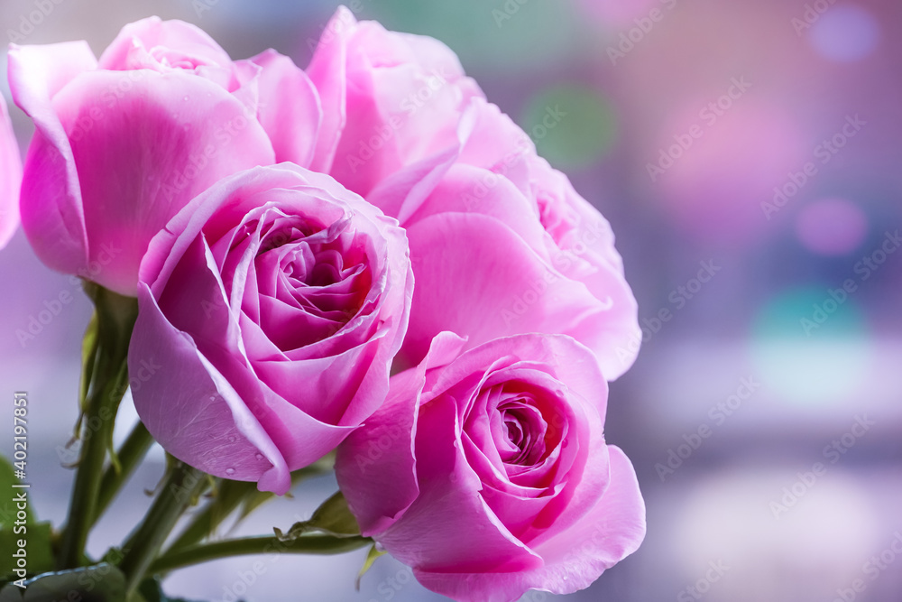 Beautiful Roses Bouquet Background with Sun Lens Flares Beautiful Roses Bouquet Background with Sun Lens Flares