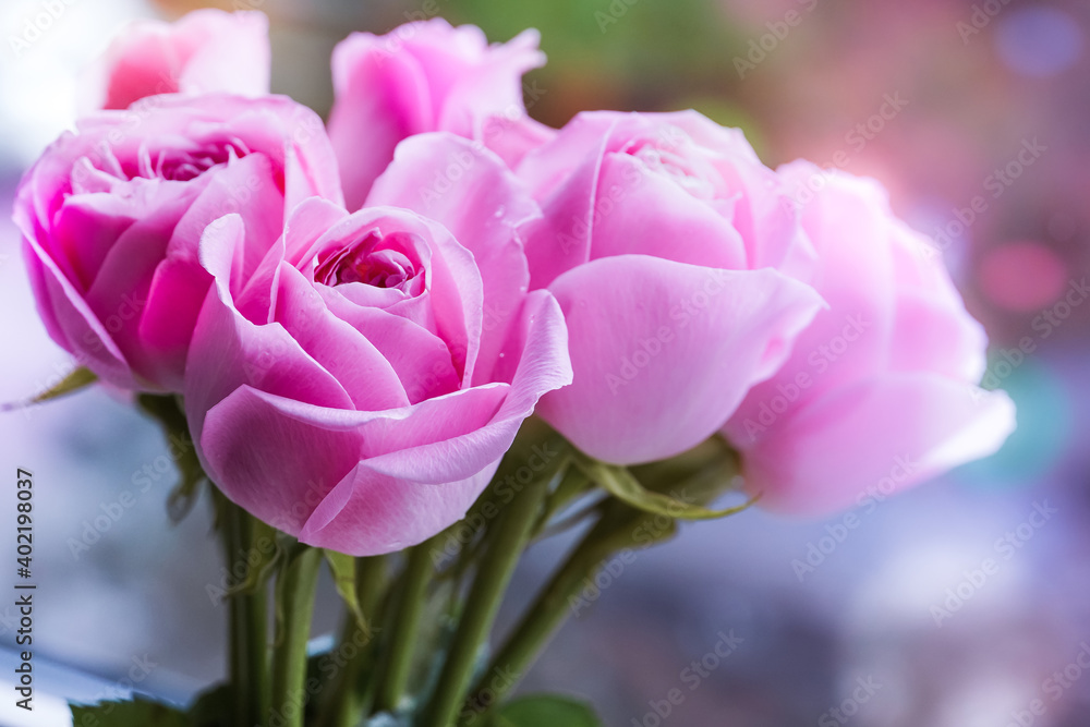 Beautiful Roses Bouquet Background with Sun Lens Flares Beautiful Roses Bouquet Background with Sun Lens Flares