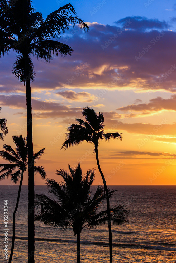 Colorful Hawaiian Sunset With Palm Tree Silhouette