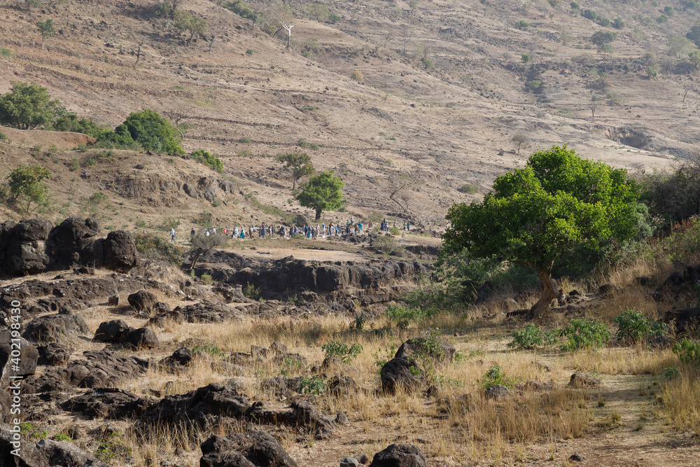 Ethiopian landscape with dry grass and green trees in the background Ethiopian landscape with dry grass and green trees in the background