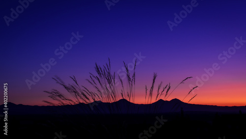 Desert sunset