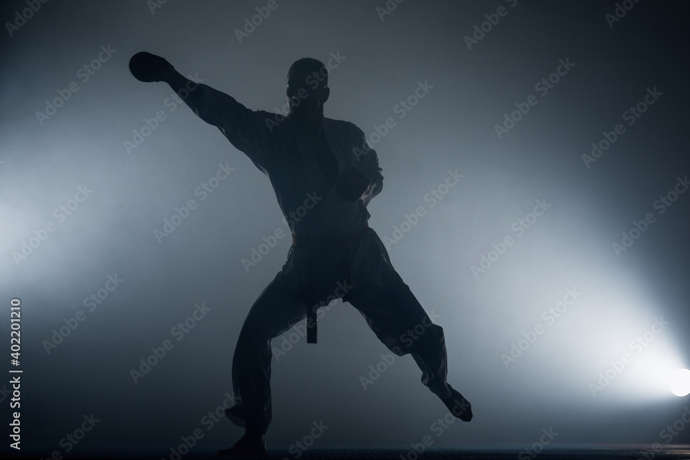 Obraz premium Martial arts master on fight training in gym