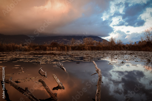 view on the torbiere del sebino, iseo photo