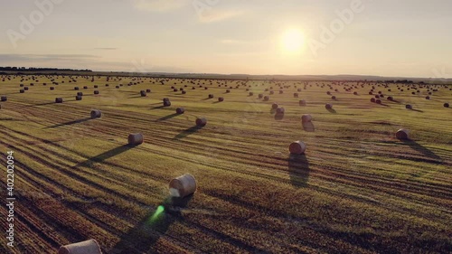 Video from a flying drone, fields with ripe cereals and haystacks.Aerial drone 4K footage of a large wheaten field with cylindrical haystacks in summer against the backdrop of a beautiful landscape.