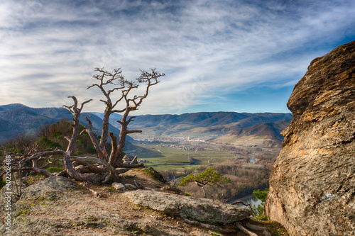 Wachau Valley and Danube river with a view from Vogelbergsteig trail to Weissenkirchen photo