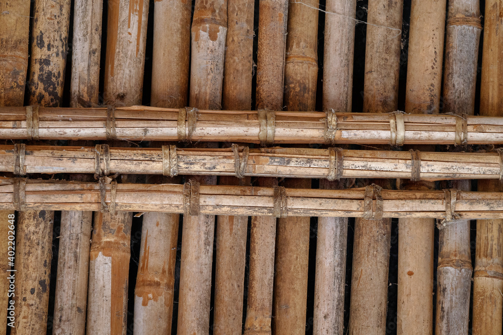 interestingly related bamboo tree constructions interestingly related bamboo tree constructions