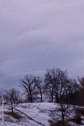 Winter in the park, Brasov, Transylvania, Romania 
