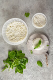 Homemade whey ricotta cheese or cottage cheese with basil ready to eat. Vegetarian healthy, nutritious diet food on a light background