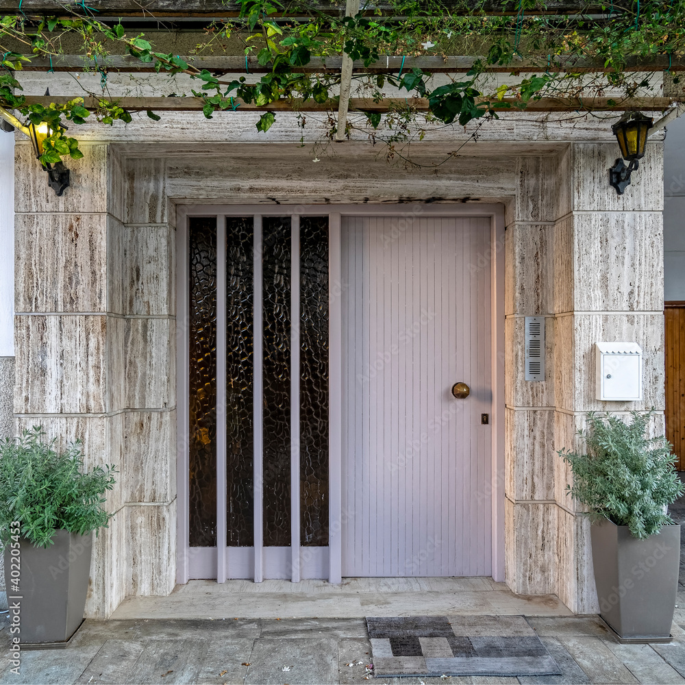 Fototapeta premium house front with pale colored wood and glass entrance door, decorated with two potted plants
