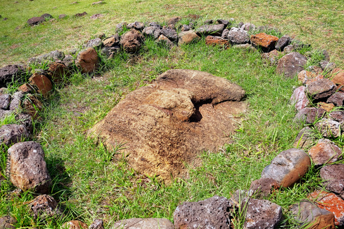 Moai head surrounded by a stone structure at the ceremonial center of Vinapu, on Easer Island. photo