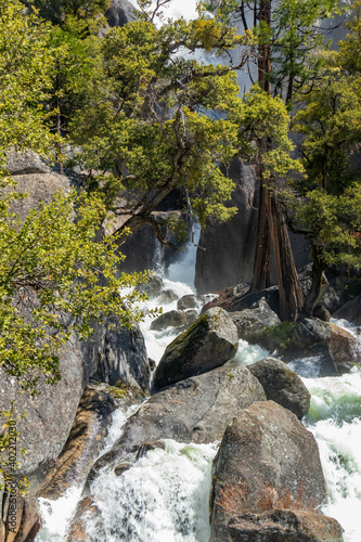 Cascade Creek  Yosemite National Park  California  USA 
