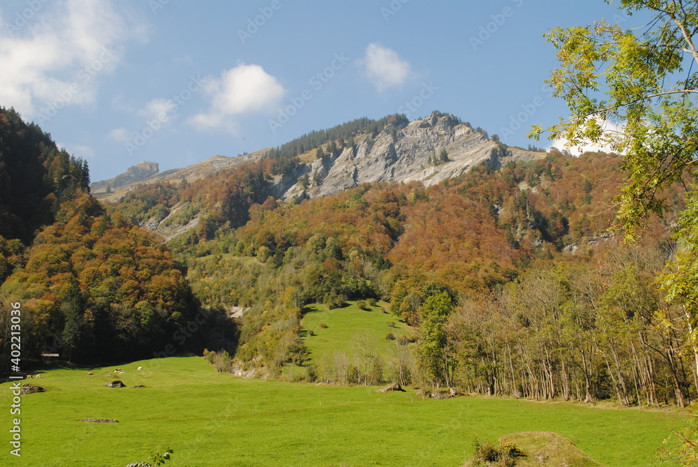 Fototapeta premium Bergen in der schweiz