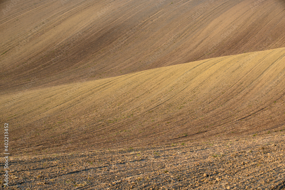 Naklejka premium landscape of South Moravia, Czechia