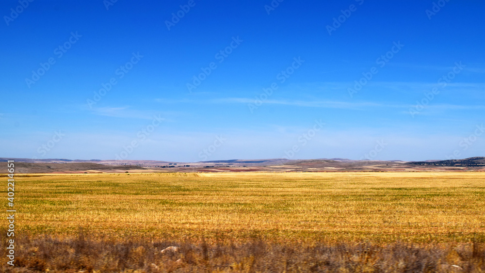 Plains of hay fields in summer with gentle hills on the horizon and intense blue sky Plains of hay fields in summer with gentle hills on the horizon and intense blue sky