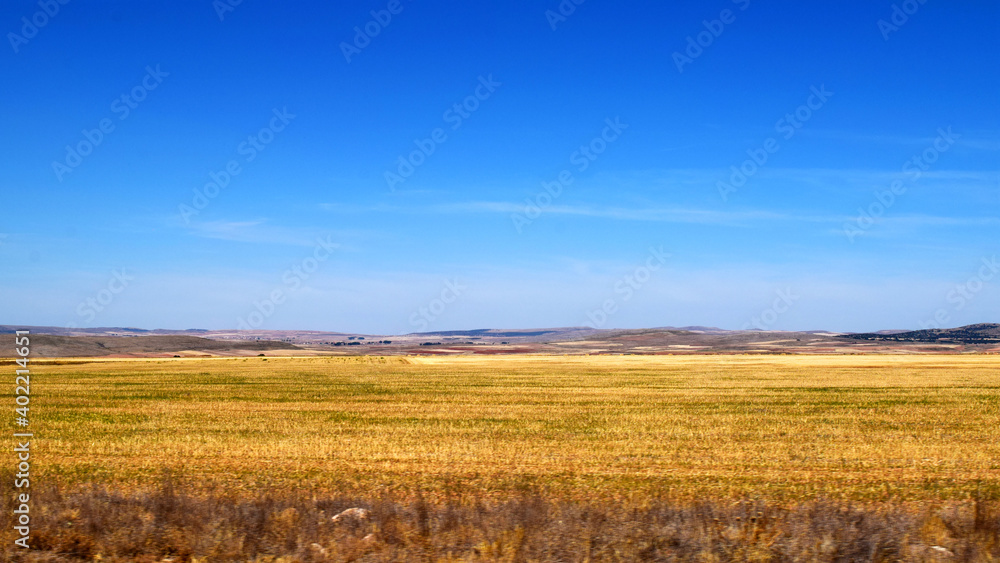 Plains of hay fields in summer with gentle hills on the horizon and intense blue sky