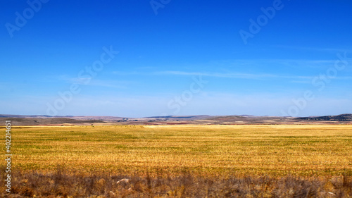 Plains of hay fields in summer with gentle hills on the horizon and intense blue sky