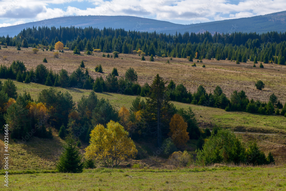 autumn in Sumava, Sumava National Park, Czechia autumn in Sumava, Sumava National Park, Czechia